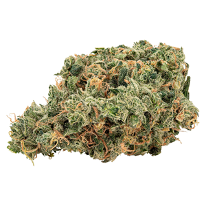 Big Bag O' Buds - Ultra Jean-G - Sativa - 28g