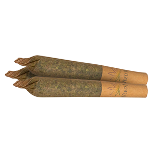 Ripped - Rolls Pre-Roll - Hybrid - 3x0.5g