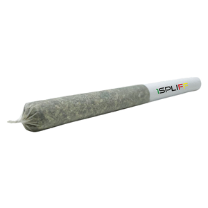 1SPLIFF - Celestial Mega Pack Pre-Roll - Hybrid - 80x0.35g